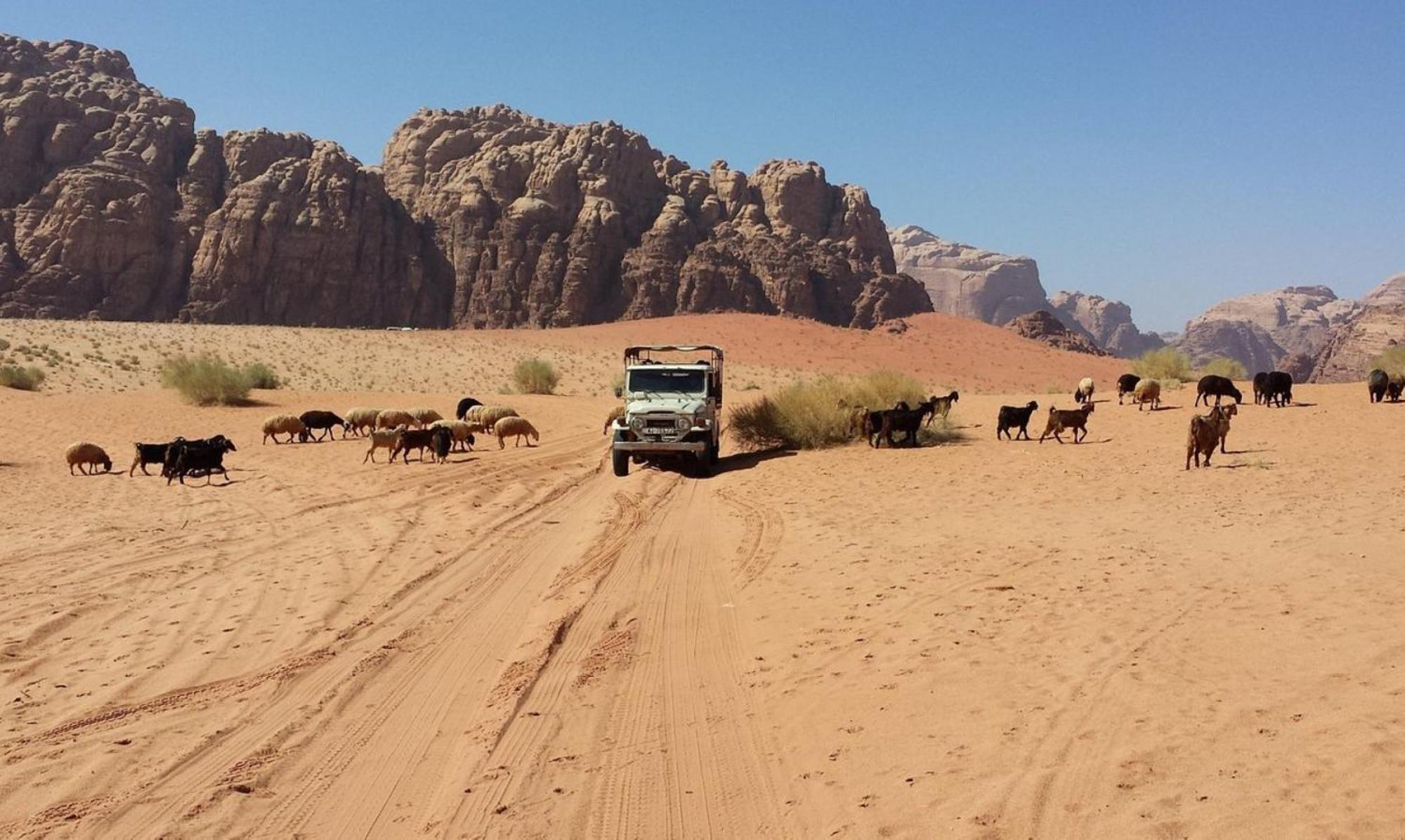 Authentic Bedouin Camp Wadi Rum Extérieur photo